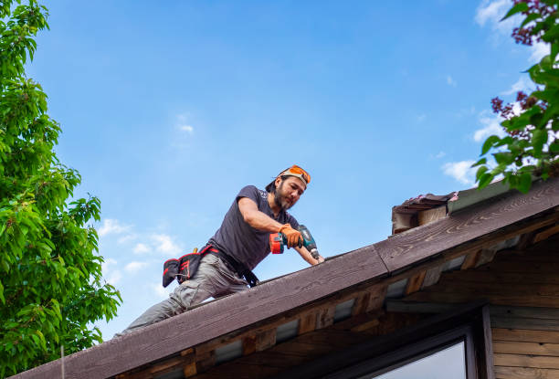 Professional Roofing services in Shady Hills, FL