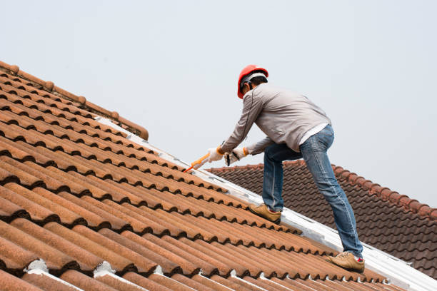 Best Roofing for New Construction  in Shady Hills, FL